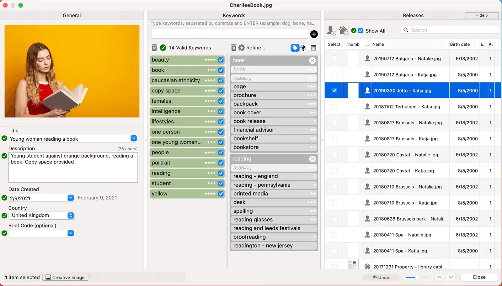 DeepMeta File Details Window