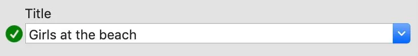 Multiple Values Text Field