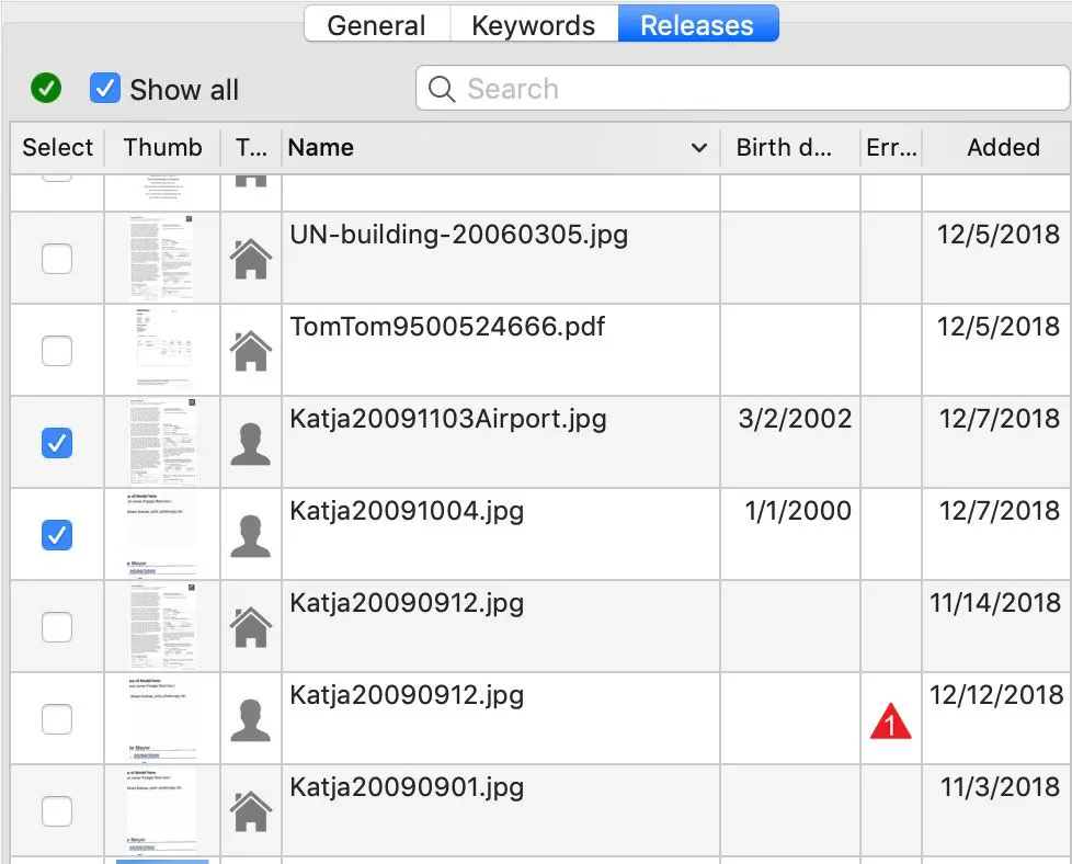 Releases Tab Interface