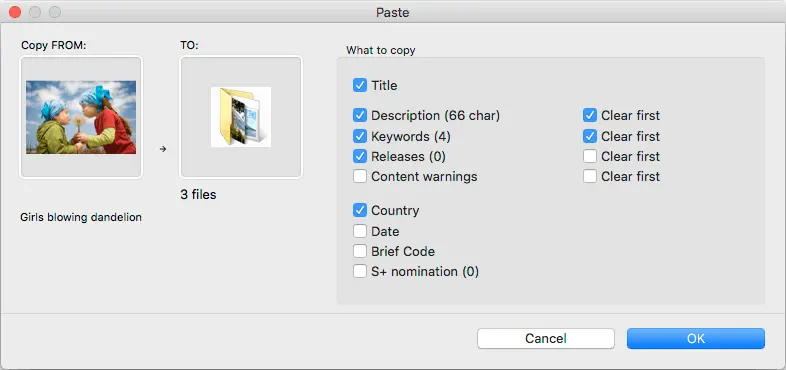 Paste Selection Dialog