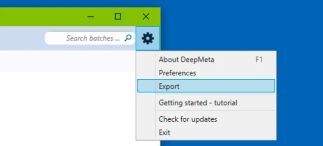 DeepMeta Export Menu on Windows