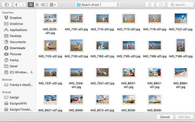 DeepMeta File Selection Dialog
