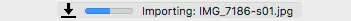 DeepMeta Import Progress