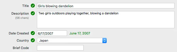 General Metadata Fields