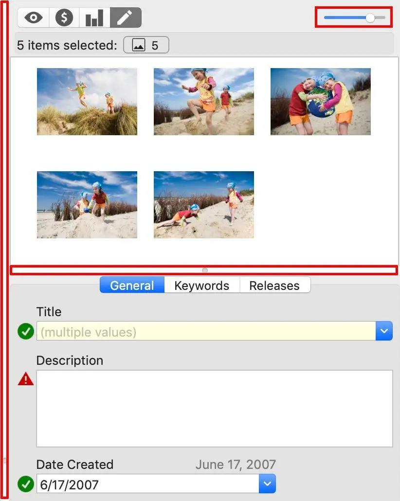 Panel Customization Options