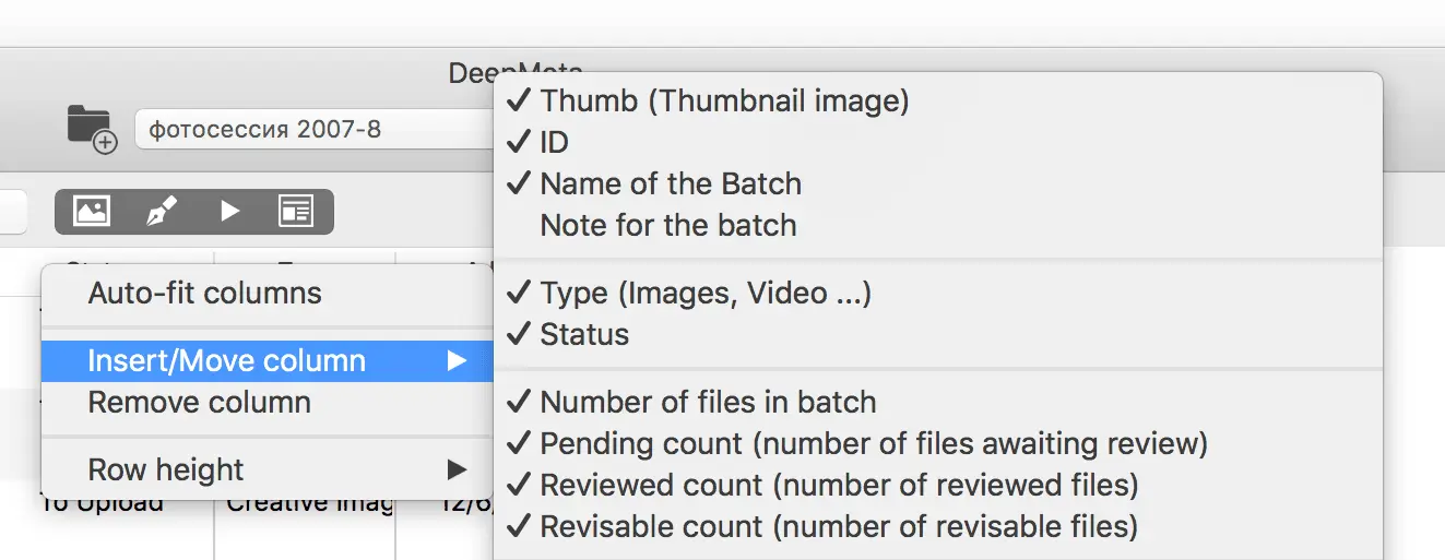 DeepMeta File Sorting Options