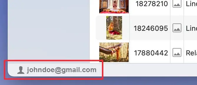 Logged In Status Display
