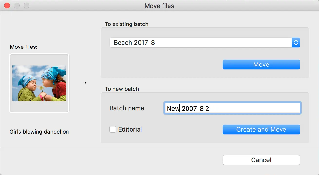 DeepMeta Move Files Between Batches