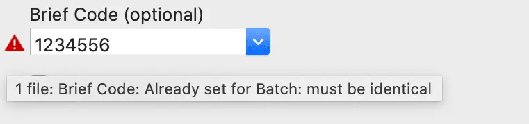 Brief Code Consistency Error